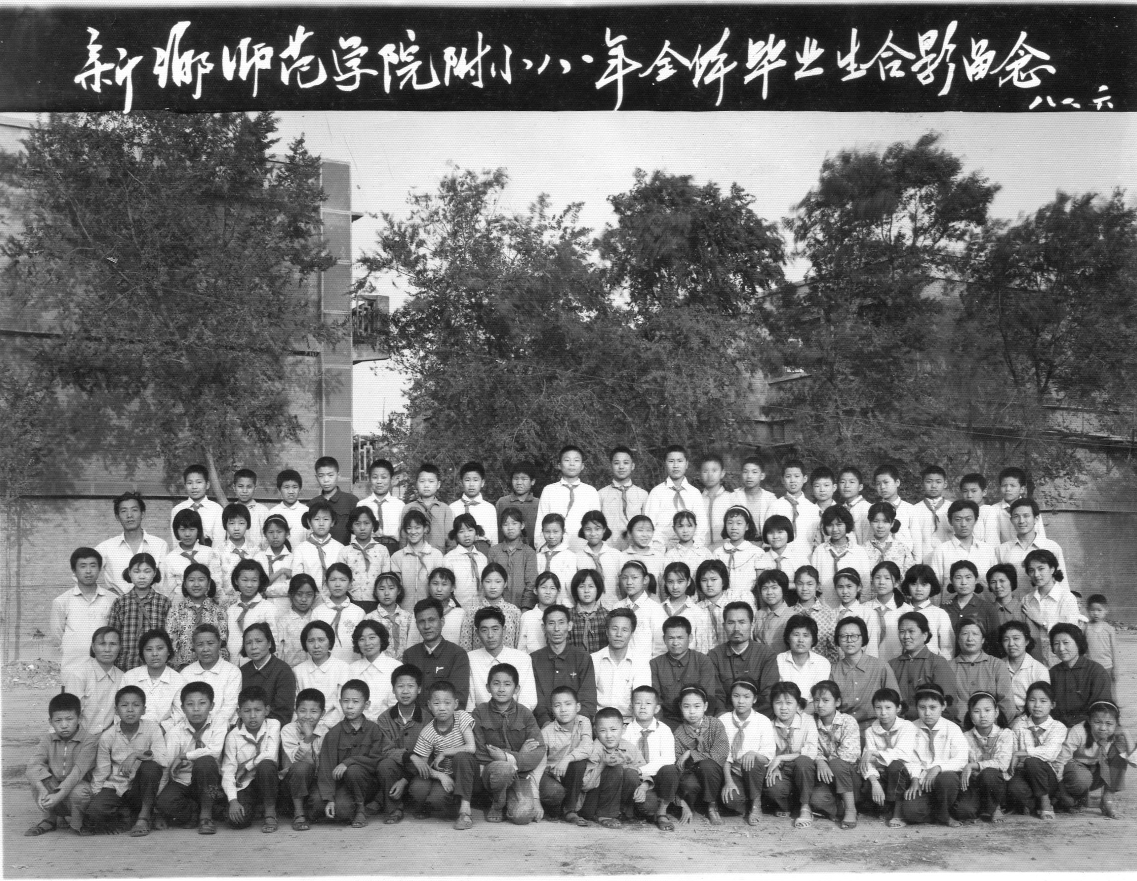 1981年毕业生照片
